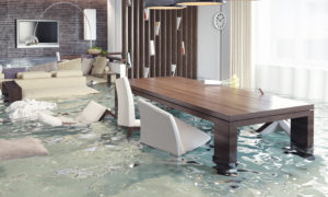 carpet-flood-damage