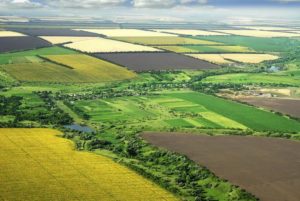 Земельный пай особенности частного сельскохозяйственного землевладения