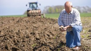 Фермерам земельные участки на 49 лет предоставляются без аукциона